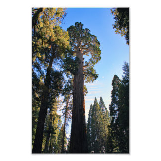 Foto Parque nacional del Cañón Kings