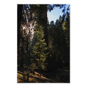 Foto Parque nacional del Cañón Kings