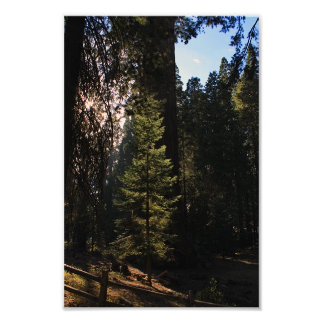Foto Parque nacional del Cañón Kings (Frente)