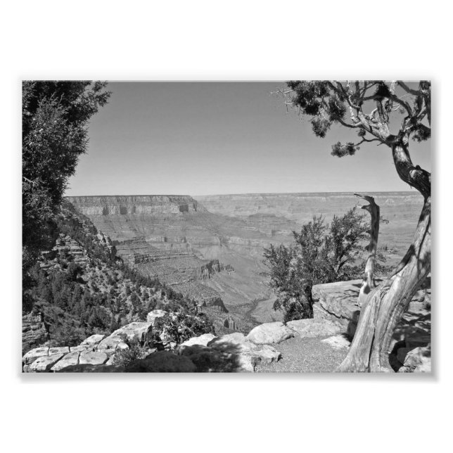 Foto Parque nacional del Gran Cañón B&W 3 (Frente)