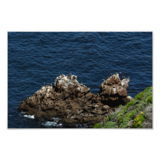 Foto Parque nacional Islas del Canal