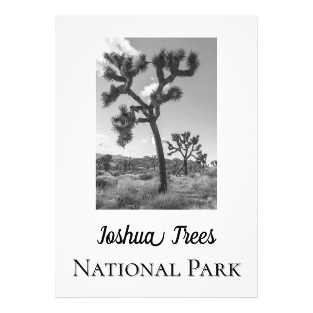 Foto Parque nacional Joshua Trees (Frente)