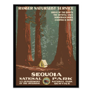 Foto Parque nacional Sequoia