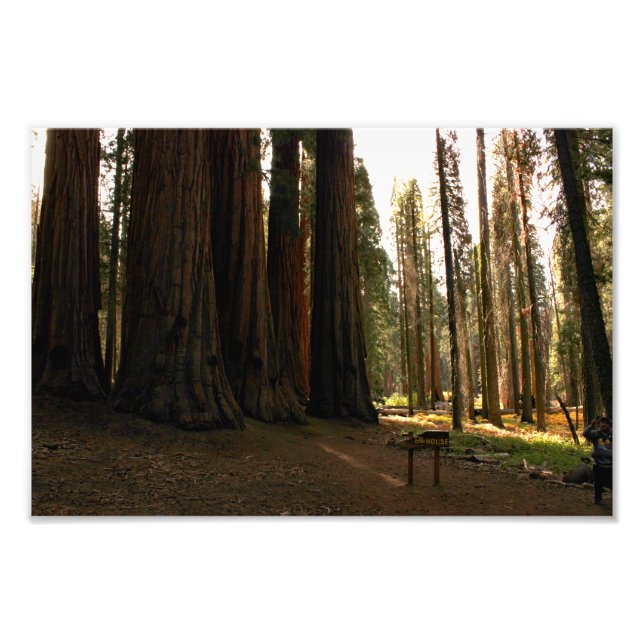 Foto Parque nacional Sequoia (Frente)