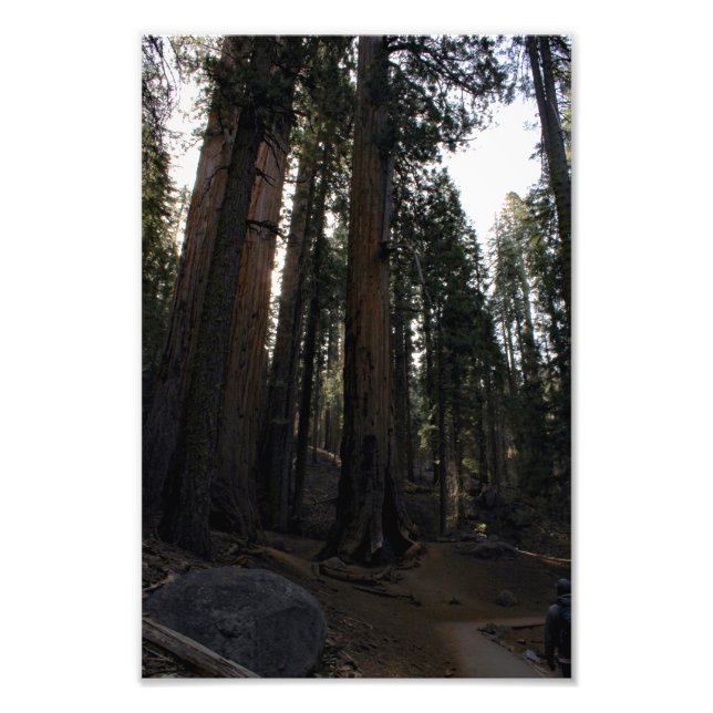 Foto Parque nacional Sequoia (Frente)
