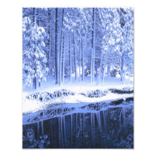 Foto PARQUE NACIONAL YOSEMITE, CALIFORNIA. EE. UU. Fres