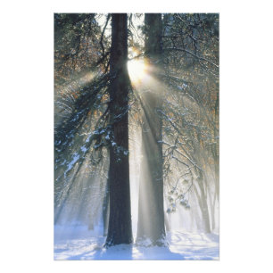 Foto Parque Nacional Yosemite - Rayos de sol que fluyen