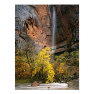 Foto Parque Nacional Zion, Utah. EE. UU. Efímero