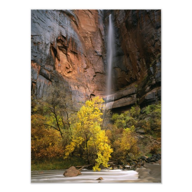 Foto Parque Nacional Zion, Utah. EE. UU. Efímero (Frente)