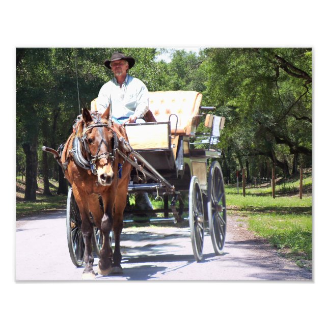 Foto Paseo por caballos y en carruaje de buggy en la fo (Frente)