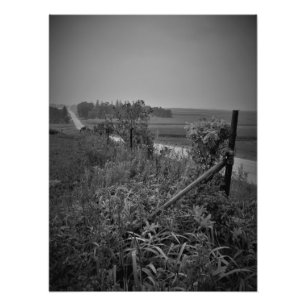 Foto "Passersby"
