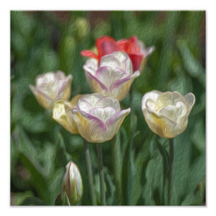 Foto Pastel Tulips