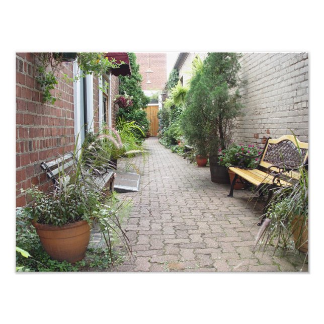 Foto Patio del jardín (Frente)