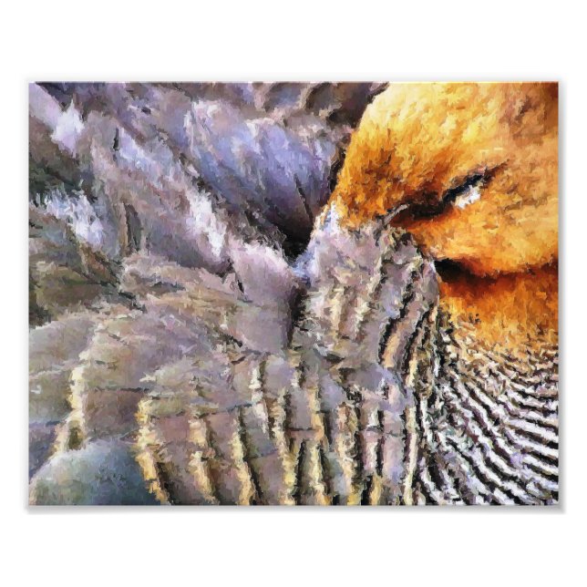 FOTO PATO DE DORMIR (Frente)