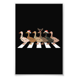 Foto Patos de Navidad Animales Divertidos Regalo de Ama