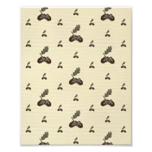 Foto patrón_4_acorn_2