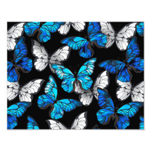 Foto Patrón continuo oscuro con mariposas azules Morpho
