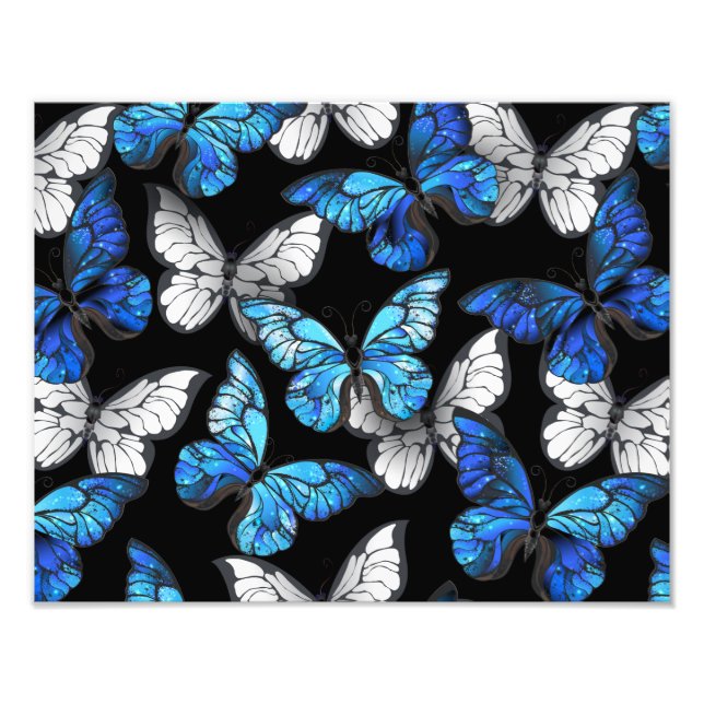 Foto Patrón continuo oscuro con mariposas azules Morpho (Frente)