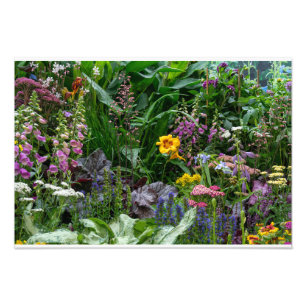 Foto Patrón de flores de jardín de verano vibrante de f