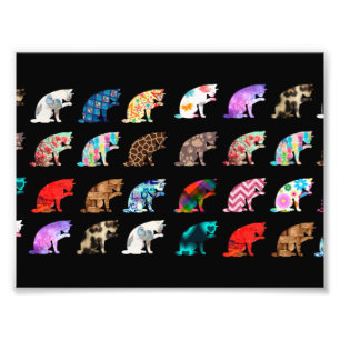 Foto Patrón de golpes de gato