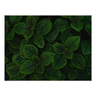 Foto Patrón de hojas texturizadas en verde esmeralda os