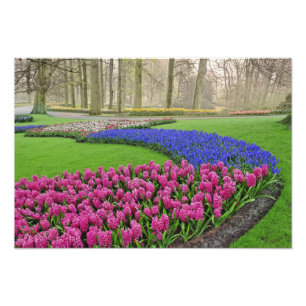 Foto Patrón de jacinto de uva, tulipanos y 2