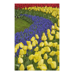 Foto patrón de jardín de flores de jacinto de uva y
