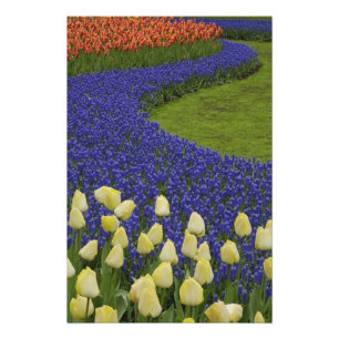 Foto Patrón de jardín de flores de jacinto de uva y 2