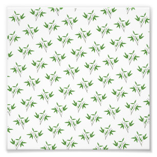 Foto Patrón de las ramas de bambú