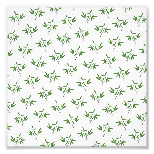 Foto Patrón de las ramas de bambú (Frente)