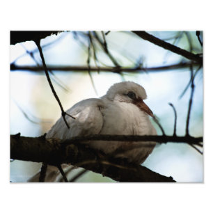 Foto Patrón de línea