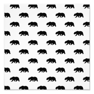 Foto Patrón de oso pardo blanco y negro