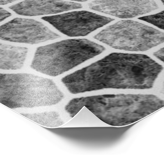 Foto Patrón de Terrazzo de Parche Ultimo Gris Emparchad (Esquina)