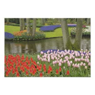 Foto Patrón de tulipanes y flores de jacinto de uva,