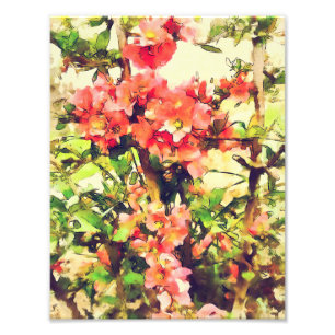 Foto Patrón floral de acuarela rosa rojo 1