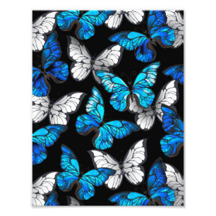 Foto Patrón oscuro sin foco con mariposas azules morfo