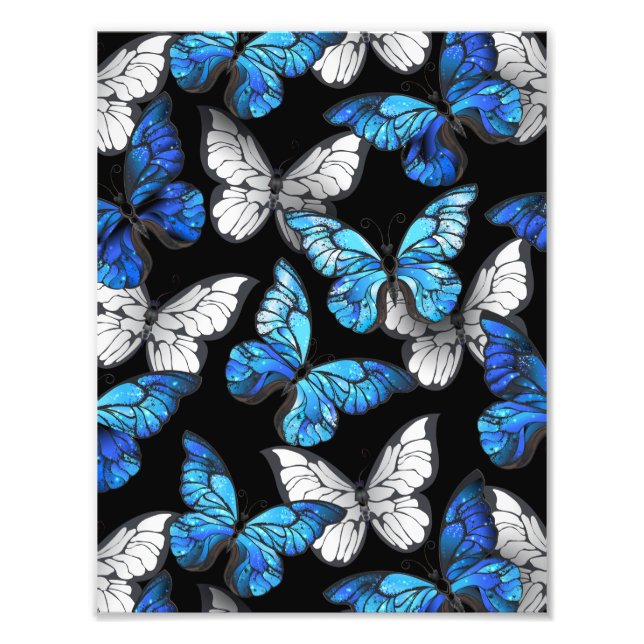 Foto Patrón oscuro sin foco con mariposas azules morfo (Frente)