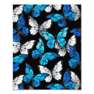 Foto Patrón oscuro sin foco con mariposas azules morfo