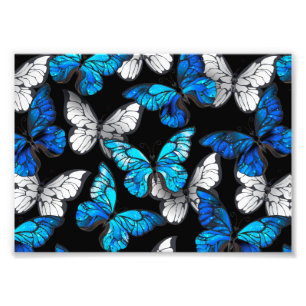 Foto Patrón oscuro sin foco con mariposas azules morfo