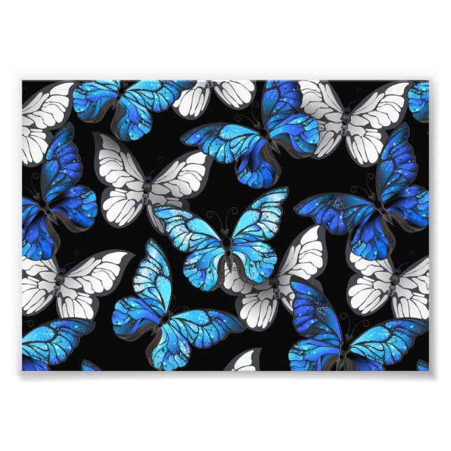 Foto Patrón oscuro sin foco con mariposas azules morfo (Frente)