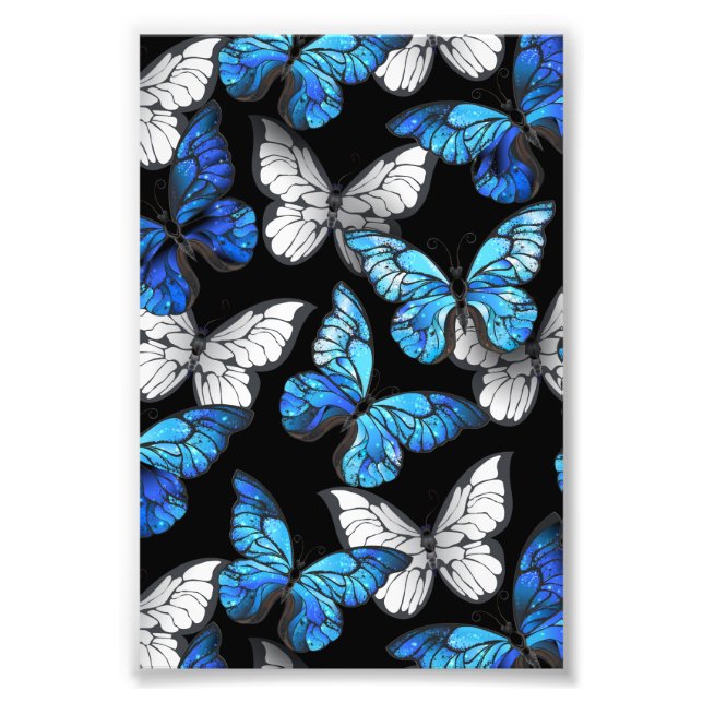 Foto Patrón oscuro sin foco con mariposas azules morfo (Frente)