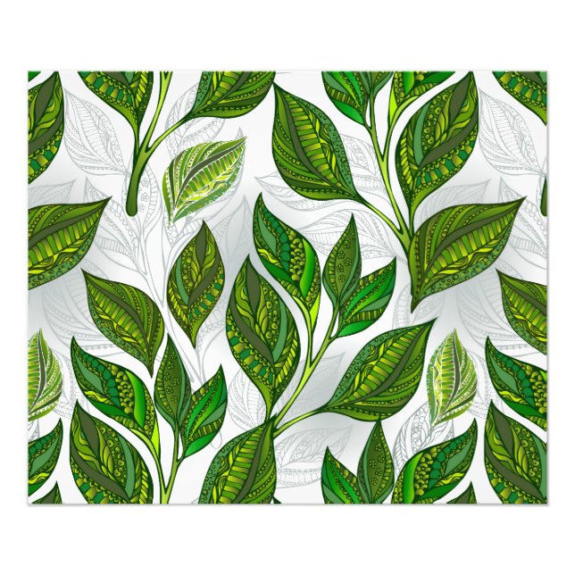 Foto Patrón sin inconvenientes con hojas de té verdes (Frente)