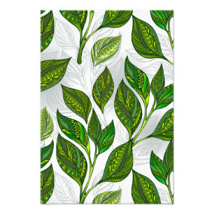 Foto Patrón sin inconvenientes con hojas de té verdes