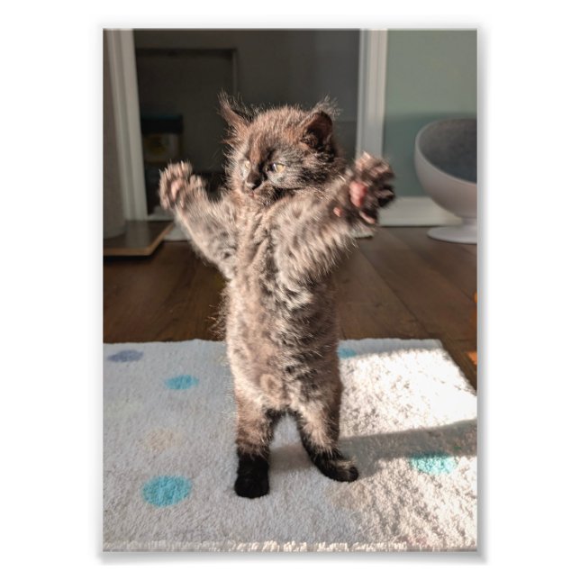 Foto Patsy the bear (Frente)