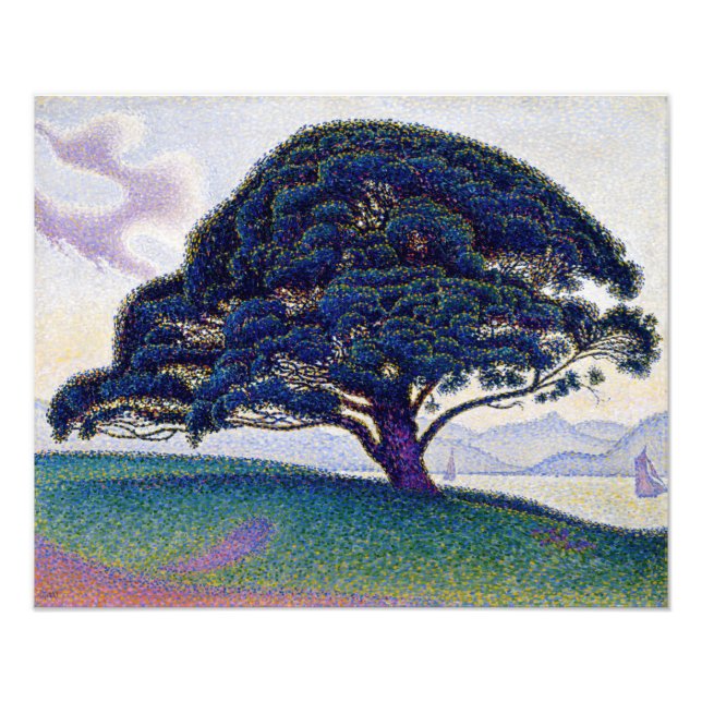 Foto Paul Signac - El Pino Bonaventure (Frente)