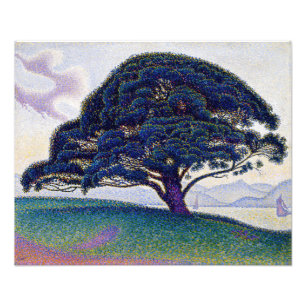 Foto Paul Signac - El pino de Bonaventure