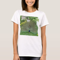 Foto pavo real camiseta básica femenina, blanca
