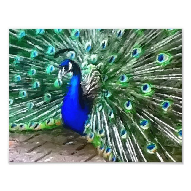 Foto pavo real pintado (Frente)