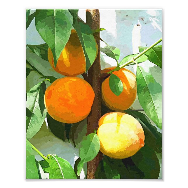 FOTO PEACHES (Frente)