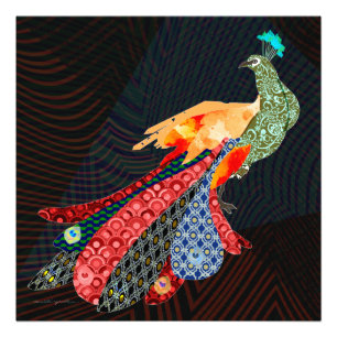 Foto Peacock